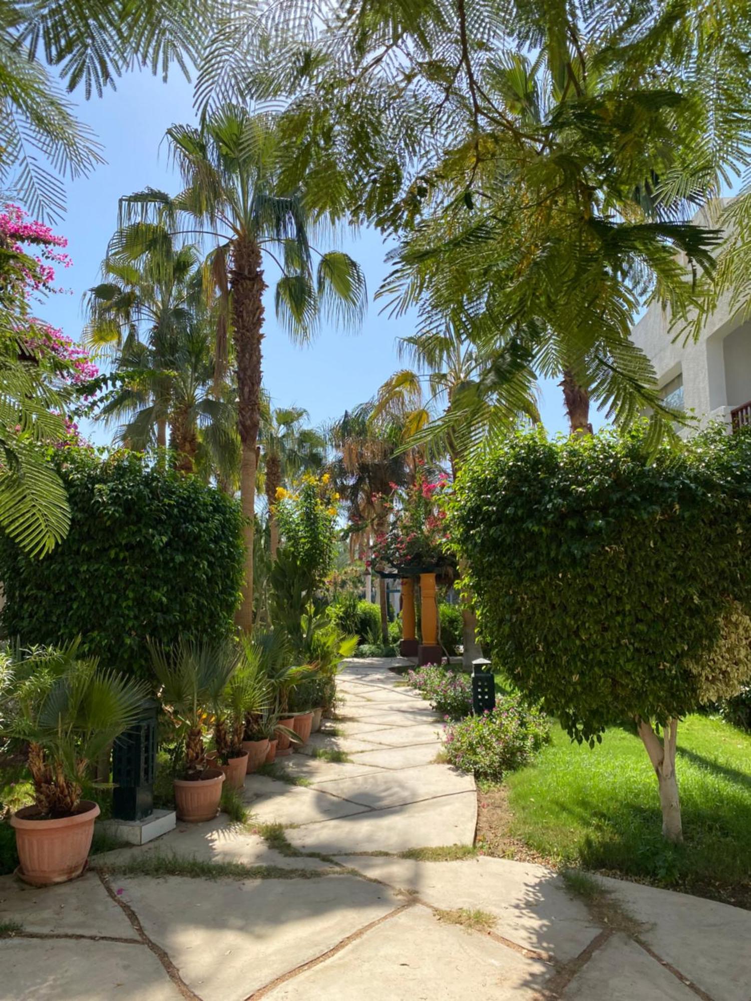Ferienwohnung Delta Sharm Exterior foto